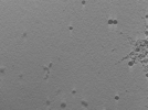 key visualization for 22Oct12_OmpB_16