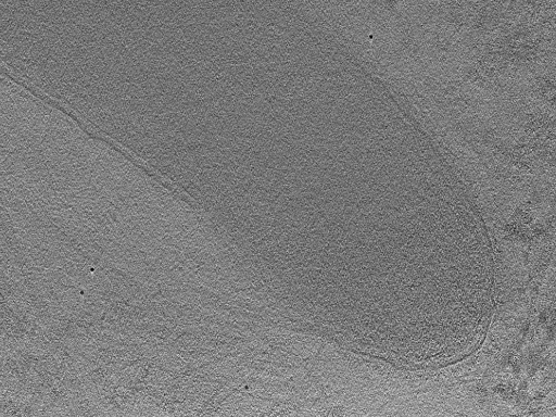 key visualization for 22Oct12_OmpB_18