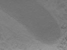 key visualization for 22Oct12_OmpB_18