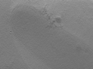 key visualization for 22Oct12_OmpB_20
