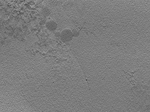 key visualization for 22Oct12_OmpB_22