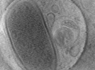 key visualization for MB_03_g1_42kx_ts_04