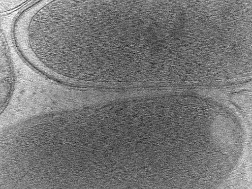 key visualization for MB_03_g1_42kx_ts_05