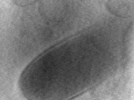 key visualization for MB_03_g1_42kx_ts_13