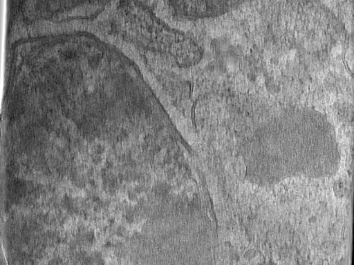 key visualization for Bg_g2_64kx_ts_07