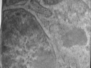 key visualization for Bg_g2_64kx_ts_07