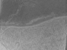 key visualization for Bg_g2_64kx_ts_11