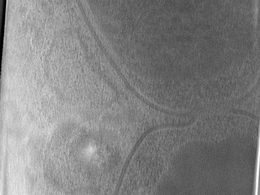 key visualization for Bg_g2_64kx_ts_12