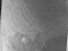 key visualization for Bg_g2_64kx_ts_12