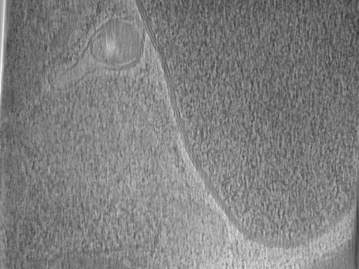 key visualization for Bg_g2_64kx_ts_15