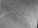 key visualization for Bg_g2_64kx_ts_24