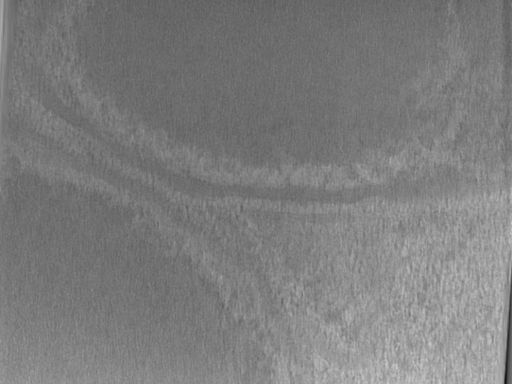 key visualization for Bg_g2_64kx_ts_26