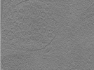 key visualization for Whopper024