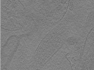 key visualization for Whopper026