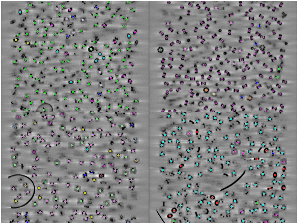key visualization for CryoLens - simulated training data